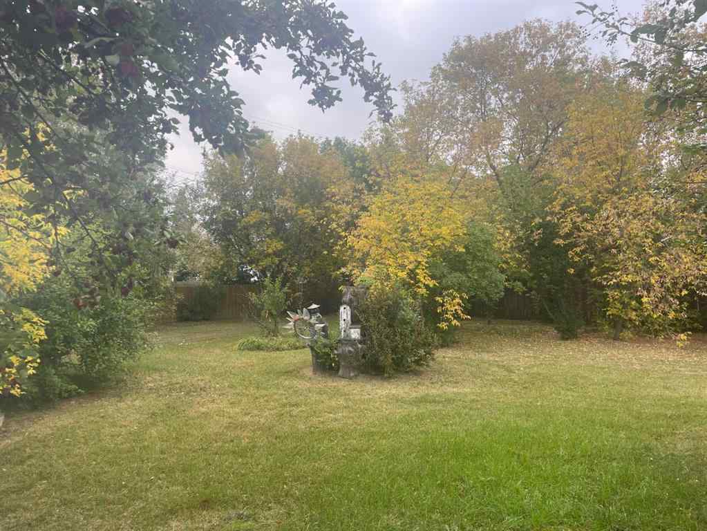 MLS® A2256347 - 702 3 Avenue  in NONE Bassano, Residential