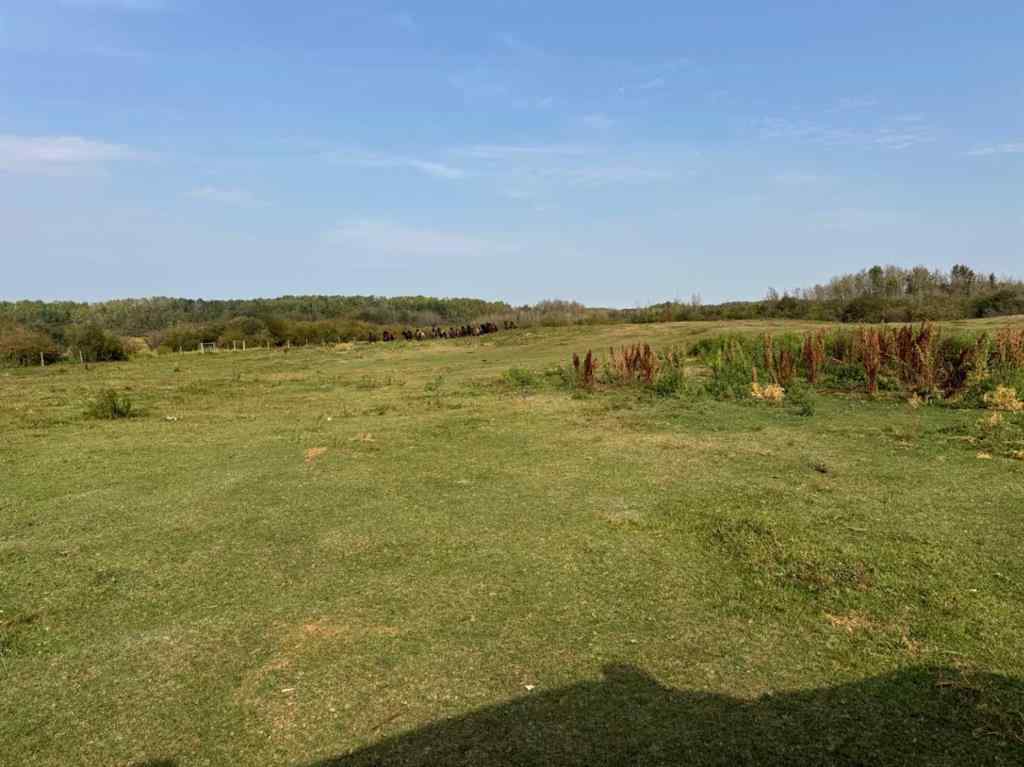 MLS® A2256388 - 3021 Township Road 400   in NONE Rural Lacombe County, Agri-Business