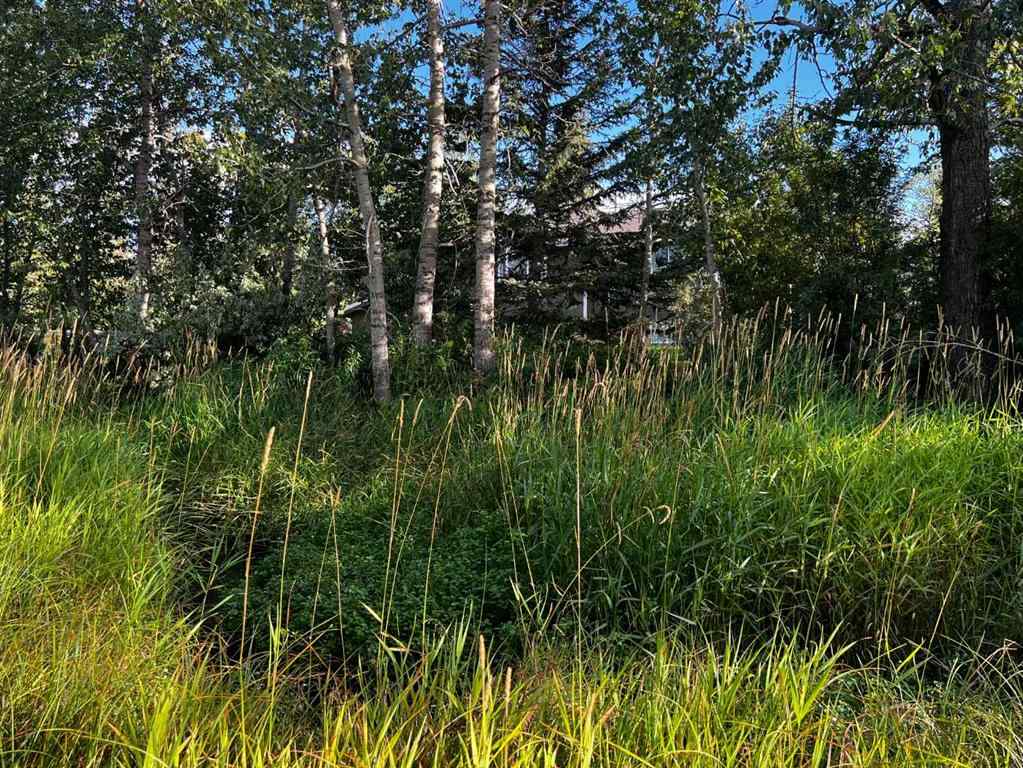 MLS® A2256456 - 550 4 Avenue W in NONE Sundre, Residential
