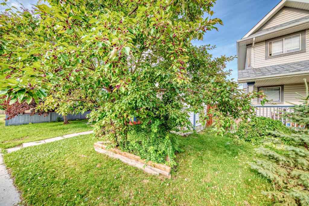 MLS® A2256503 - 128 ERIN MEADOW Way SE in Erin Woods Calgary, Residential