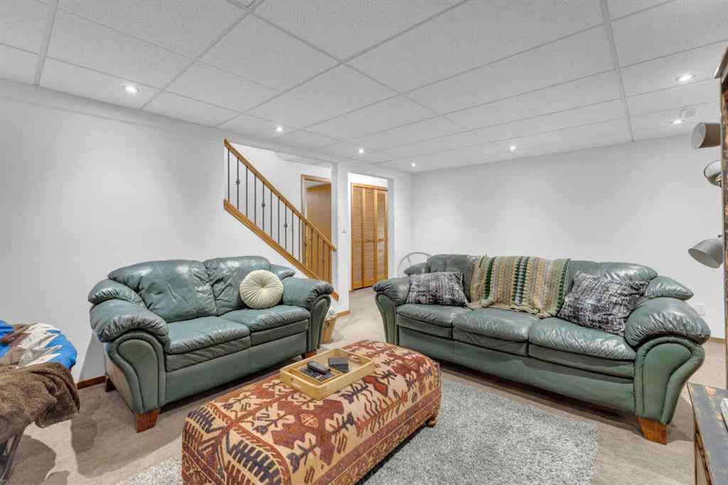 MLS® A2256510 - 69 Pamely Avenue  in Pines Red Deer, Residential