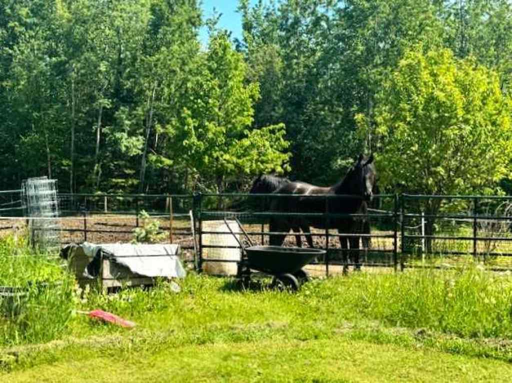 MLS® A2256523 - 50 Lakeview Heights  in NONE Canyon Creek, Residential