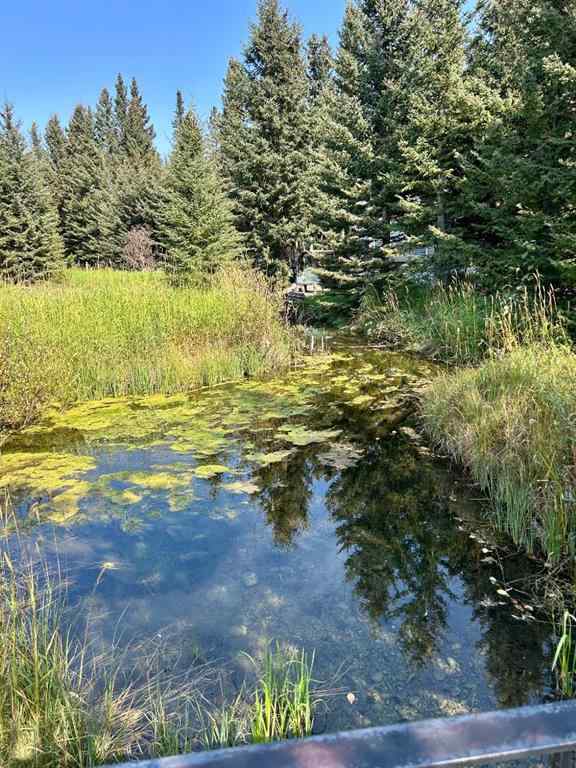 MLS® A2256525 - Unit #167 200 4 Avenue SW in NONE Sundre, Land