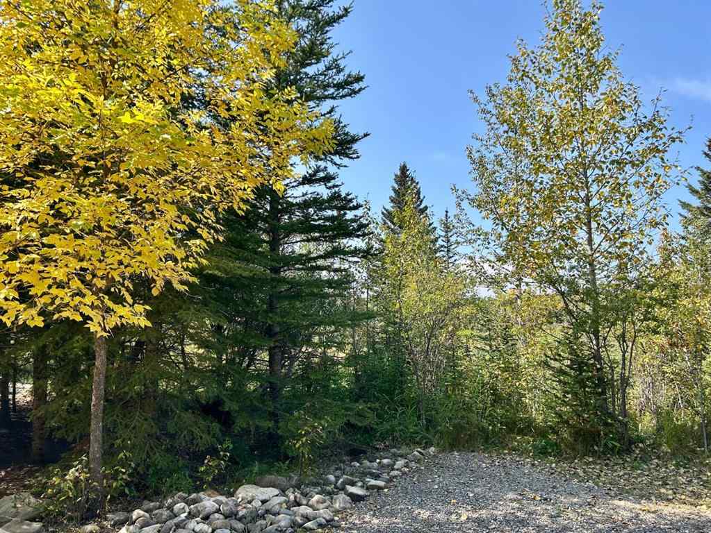 MLS® A2256525 - Unit #167 200 4 Avenue SW in NONE Sundre, Land