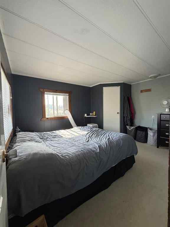 MLS® A2256564 - 10013 95 Ave   in NONE La Crete, Residential