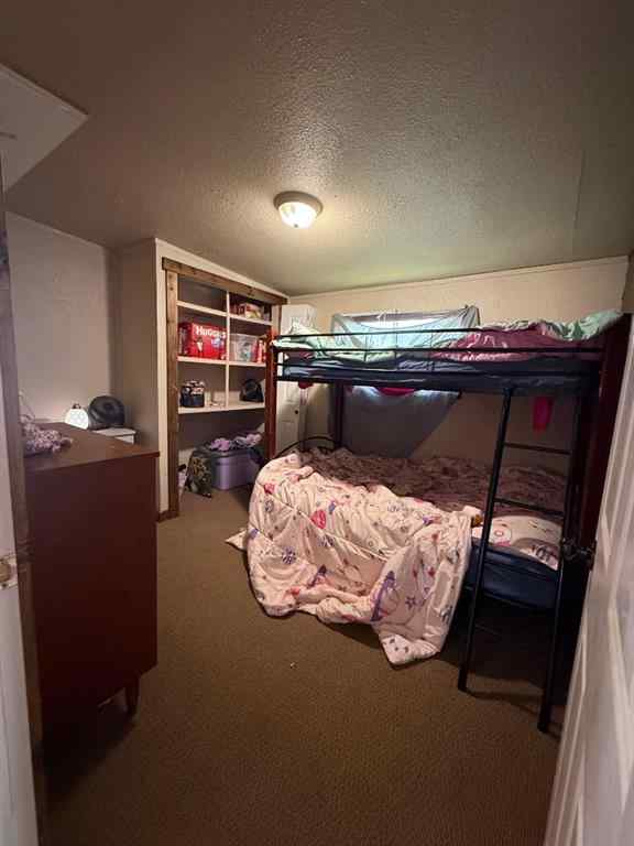 MLS® A2256564 - 10013 95 Ave   in NONE La Crete, Residential