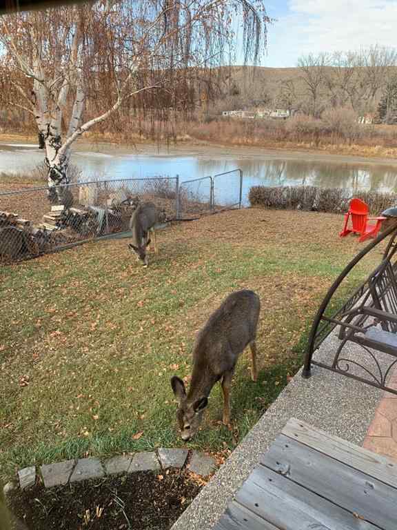 MLS® A2256571 - 121 7 Street W in Downtown Drumheller, Residential