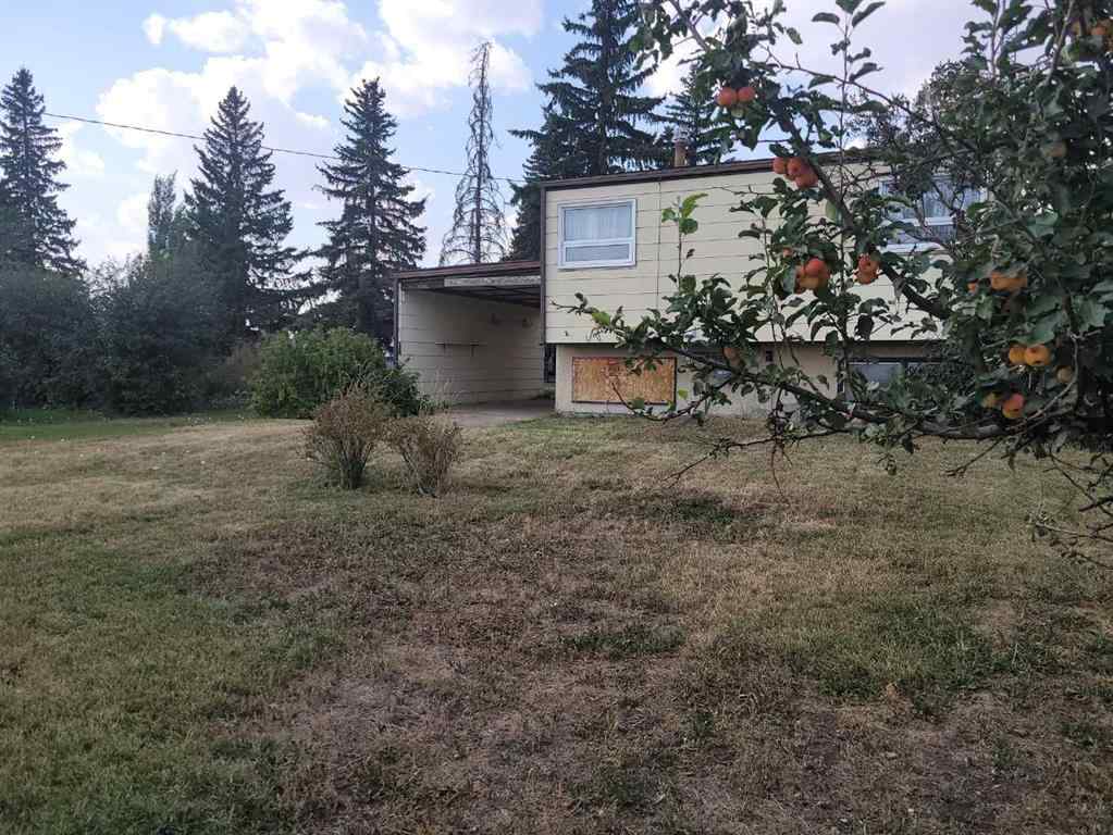 MLS® A2256632 - 4413 48 Street   in NONE Forestburg, Residential