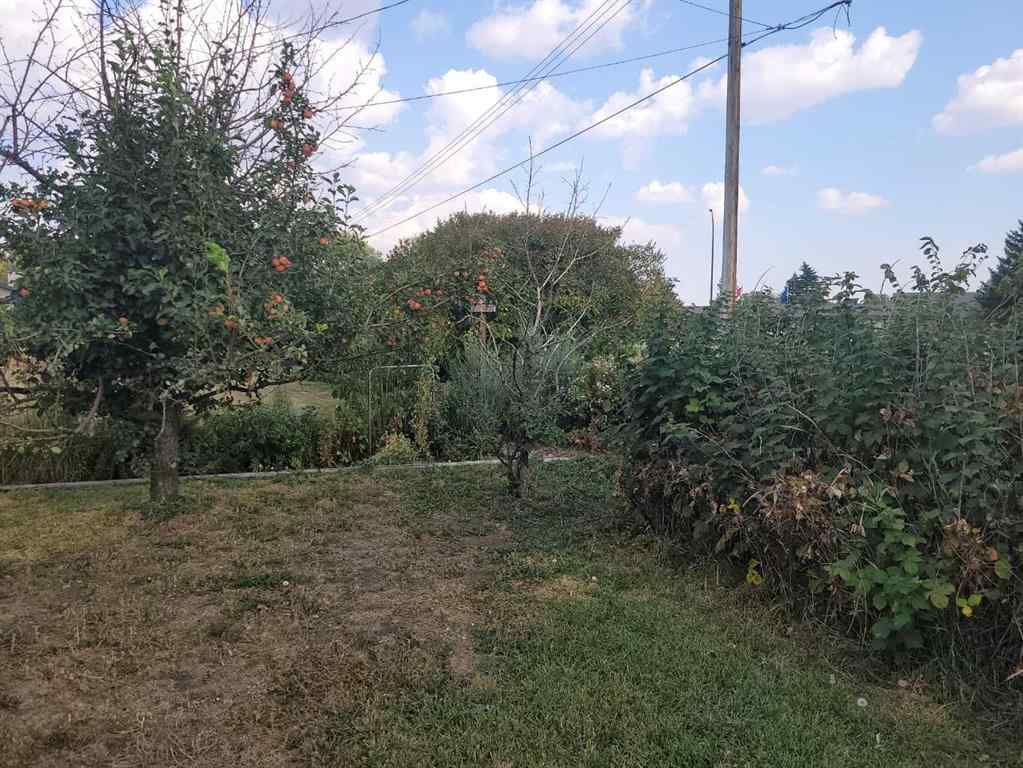 MLS® A2256632 - 4413 48 Street   in NONE Forestburg, Residential