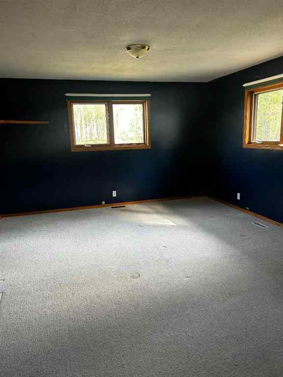 MLS® A2256663 - 460051 20 Highway  in NONE Rural Wetaskiwin No. 10, County of, Agri-Business