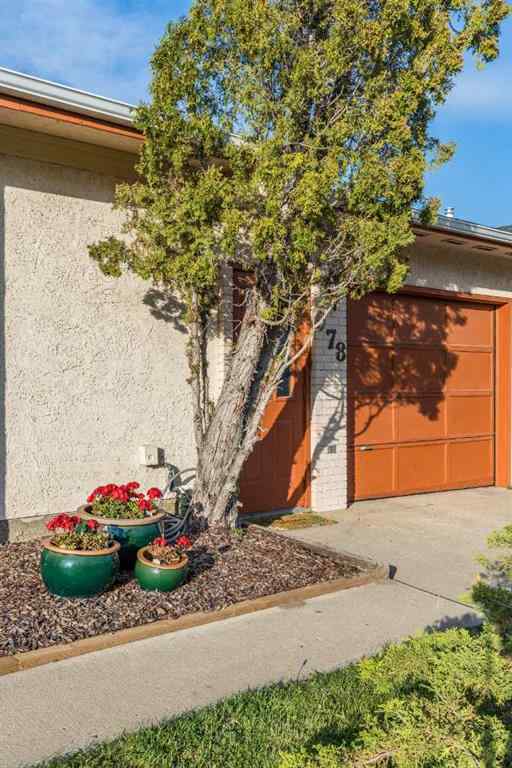MLS® A2256666 - 978 20 Street NE in Northeast Crescent Heights Medicine Hat, Residential
