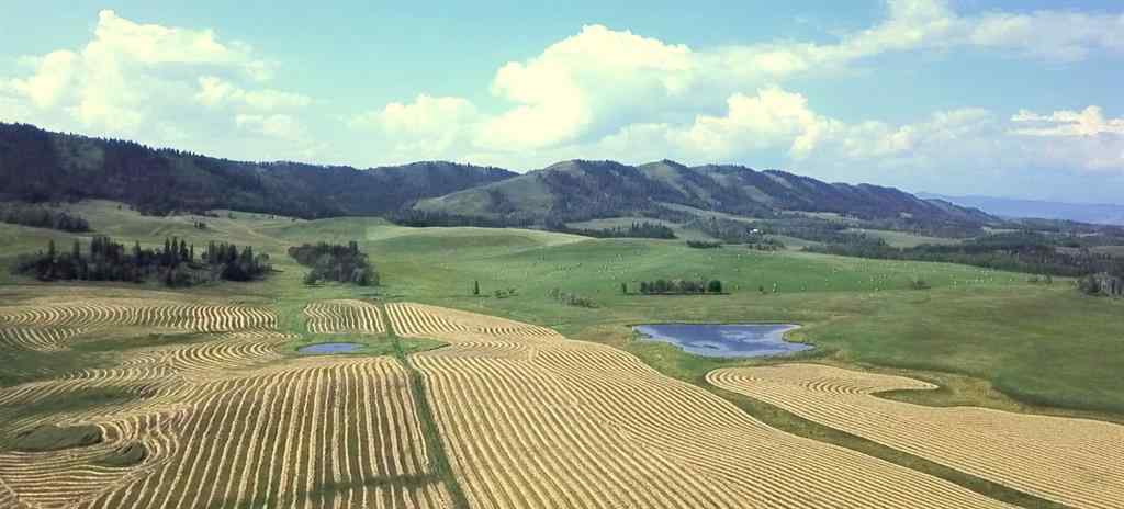 MLS® A2256683 -  12-20-4W5   in NONE Rural Foothills County, Agri-Business