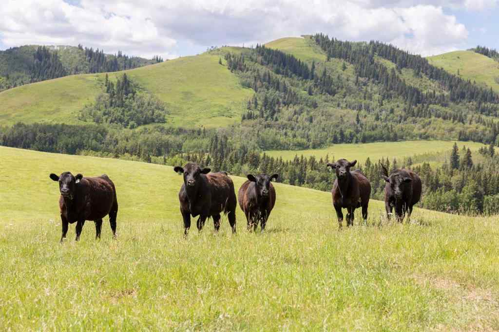 MLS® A2256683 -  12-20-4W5   in NONE Rural Foothills County, Agri-Business