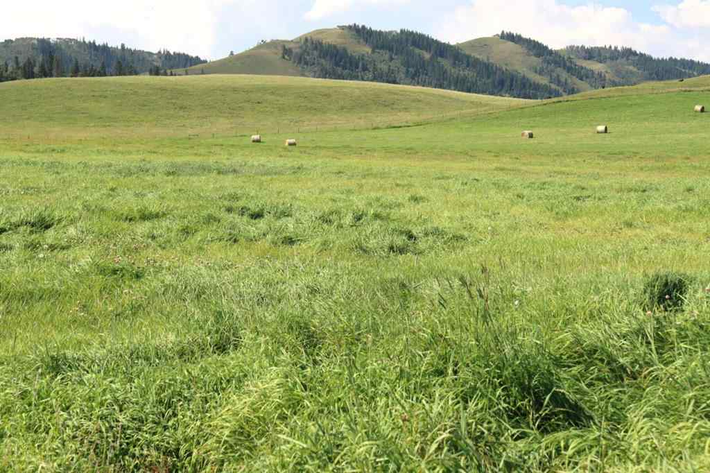 MLS® A2256683 -  12-20-4W5   in NONE Rural Foothills County, Agri-Business