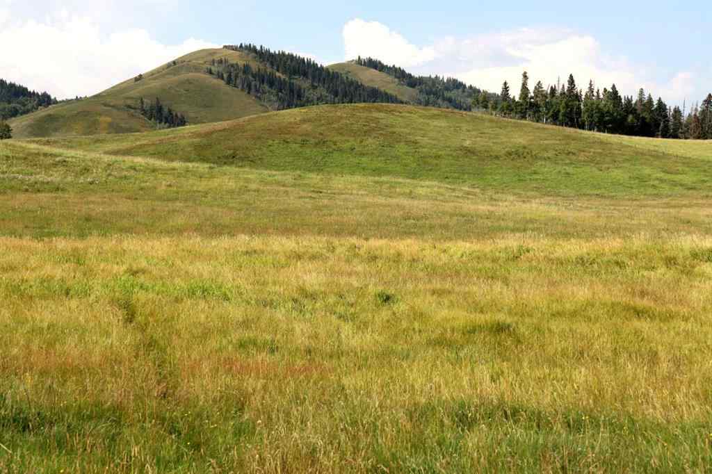 MLS® A2256683 -  12-20-4W5   in NONE Rural Foothills County, Agri-Business