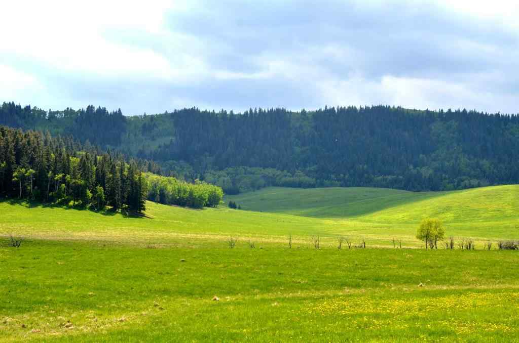 MLS® A2256683 -  12-20-4W5   in NONE Rural Foothills County, Agri-Business