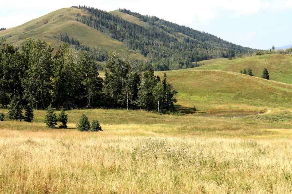 MLS® A2256683 -  12-20-4W5   in NONE Rural Foothills County, Agri-Business