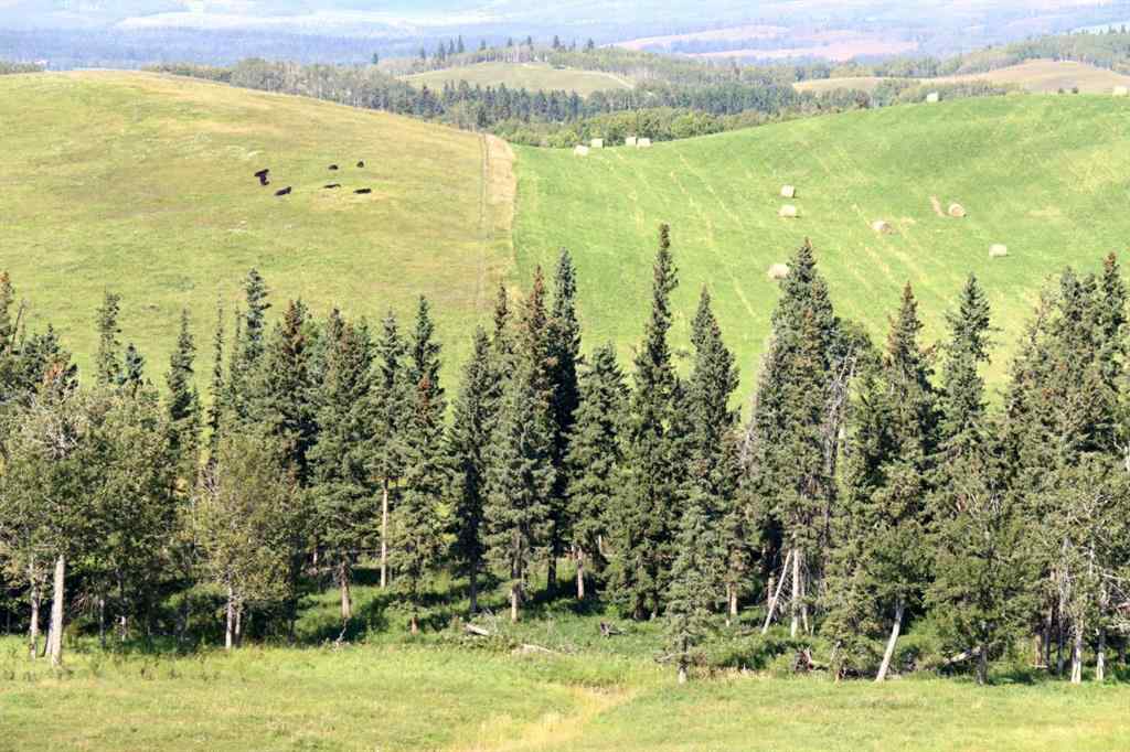 MLS® A2256683 -  12-20-4W5   in NONE Rural Foothills County, Agri-Business