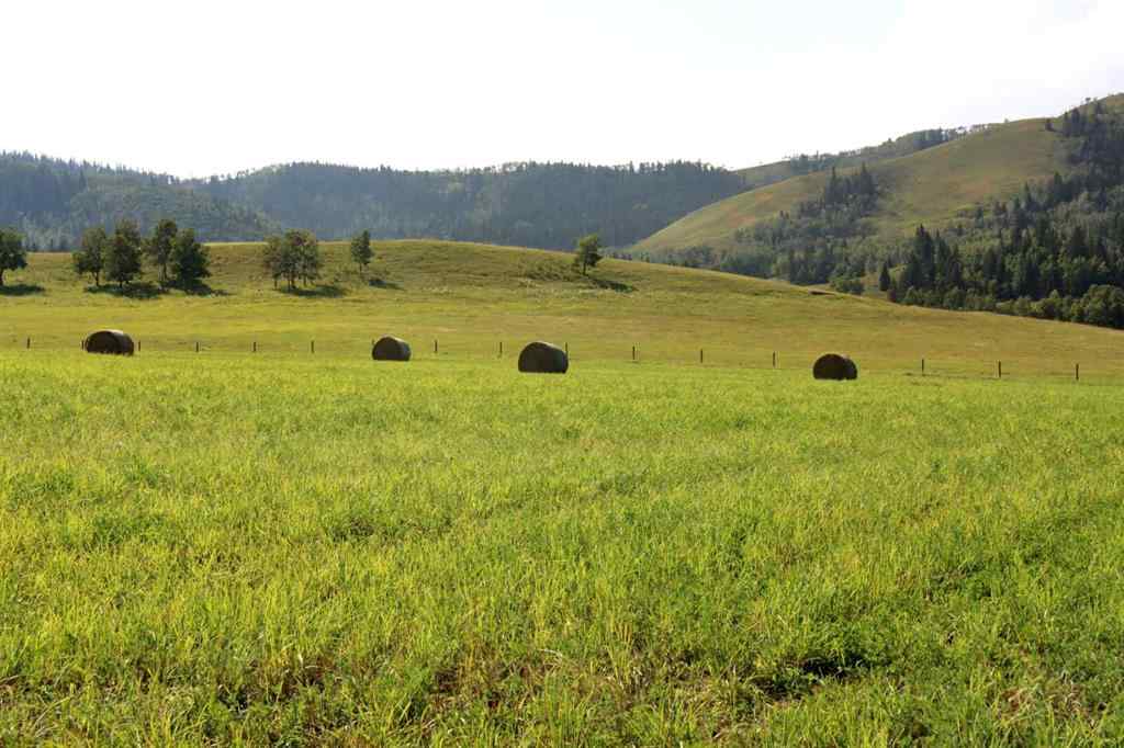 MLS® A2256683 -  12-20-4W5   in NONE Rural Foothills County, Agri-Business