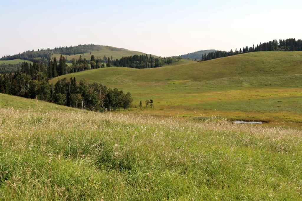 MLS® A2256683 -  12-20-4W5   in NONE Rural Foothills County, Agri-Business
