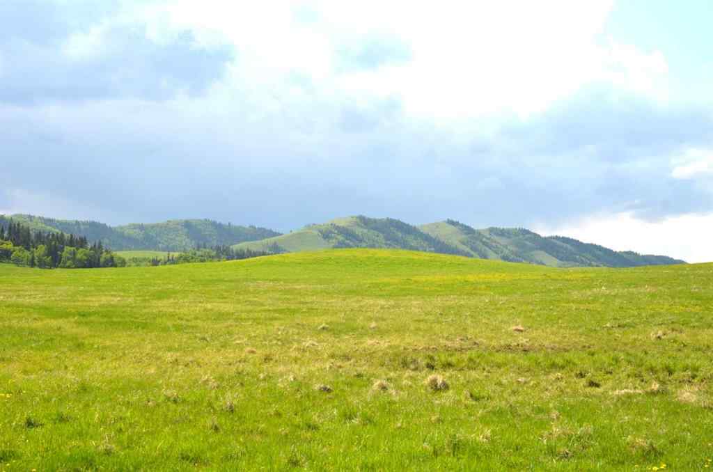 MLS® A2256683 -  12-20-4W5   in NONE Rural Foothills County, Agri-Business