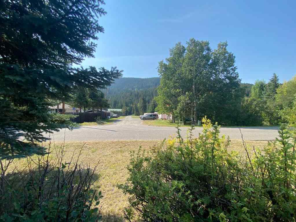 MLS® A2256689 - 6001 16 Avenue  in NONE Coleman, Residential