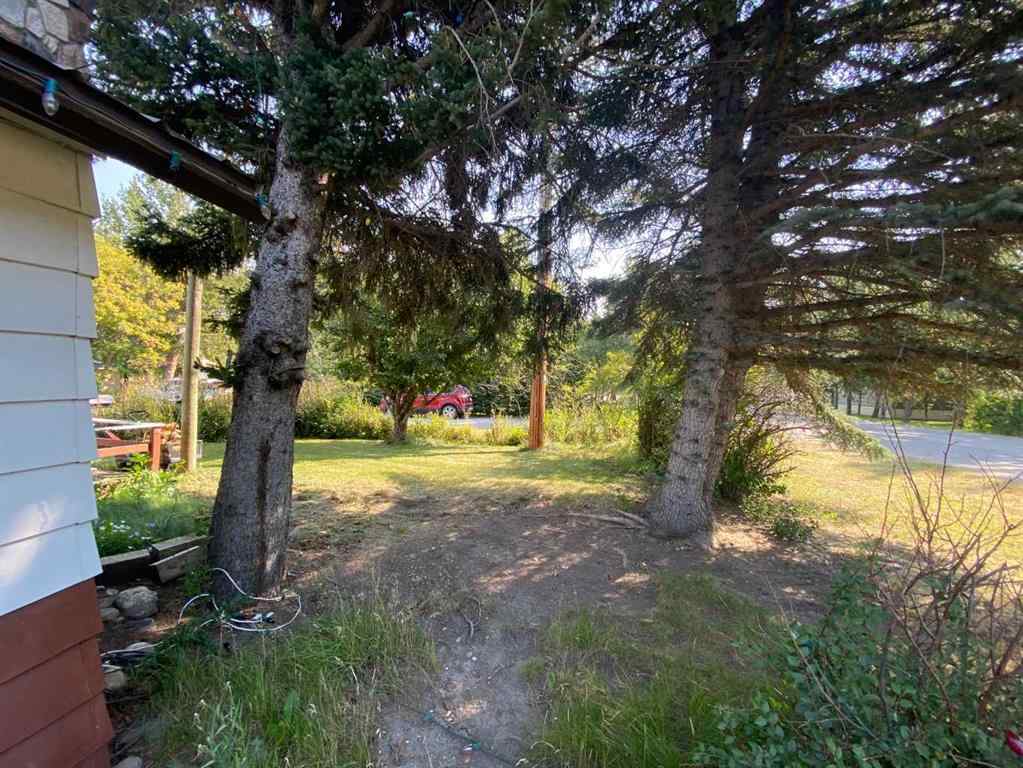 MLS® A2256689 - 6001 16 Avenue  in NONE Coleman, Residential