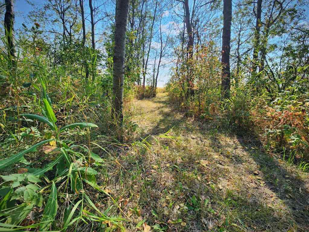 MLS® A2256808 -  40225 RR 19-2   in NONE Rural Stettler No. 6, County of, Residential