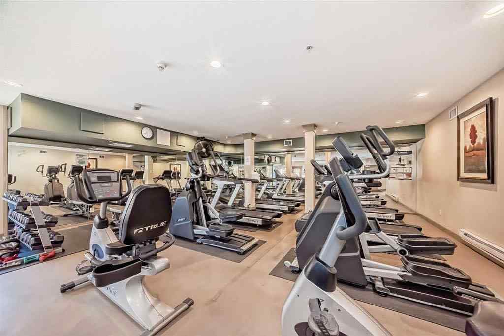 MLS® A2256919 - Unit #202 10 Discovery Ridge Close SW in Discovery Ridge Calgary, Residential