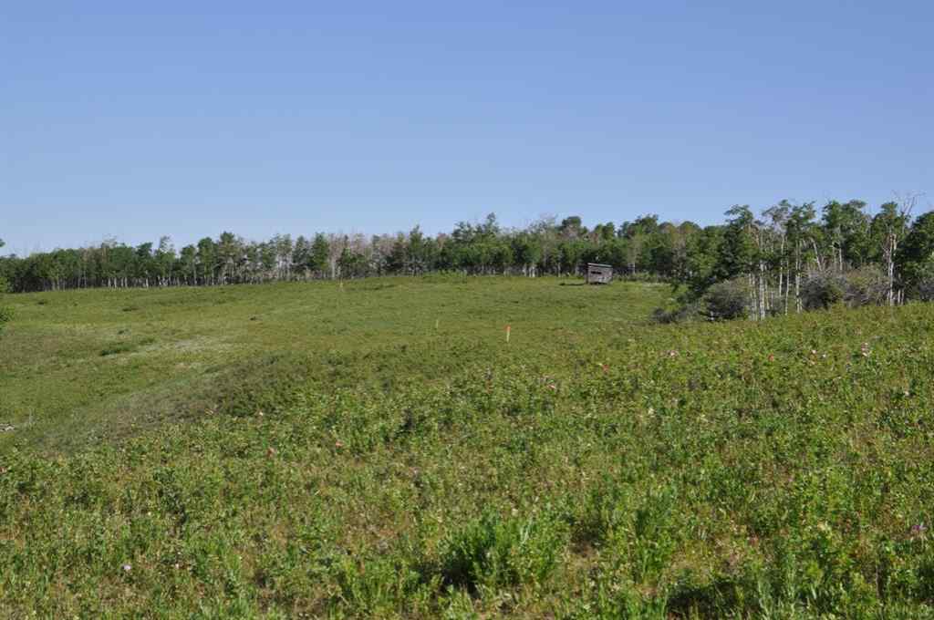 MLS® A2256948 - - -   in NONE Millarville, Land