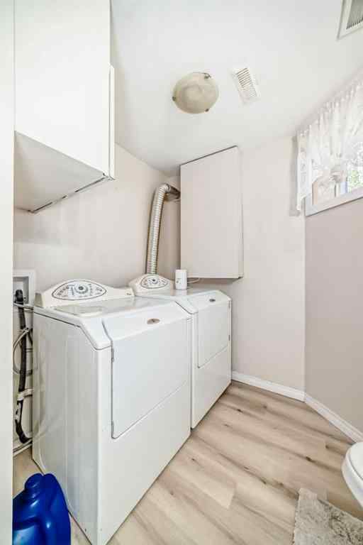 MLS® A2256983 - 48 Fallingworth Court NE in Falconridge Calgary, Residential