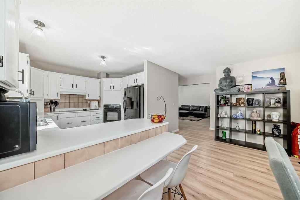 MLS® A2256983 - 48 Fallingworth Court NE in Falconridge Calgary, Residential