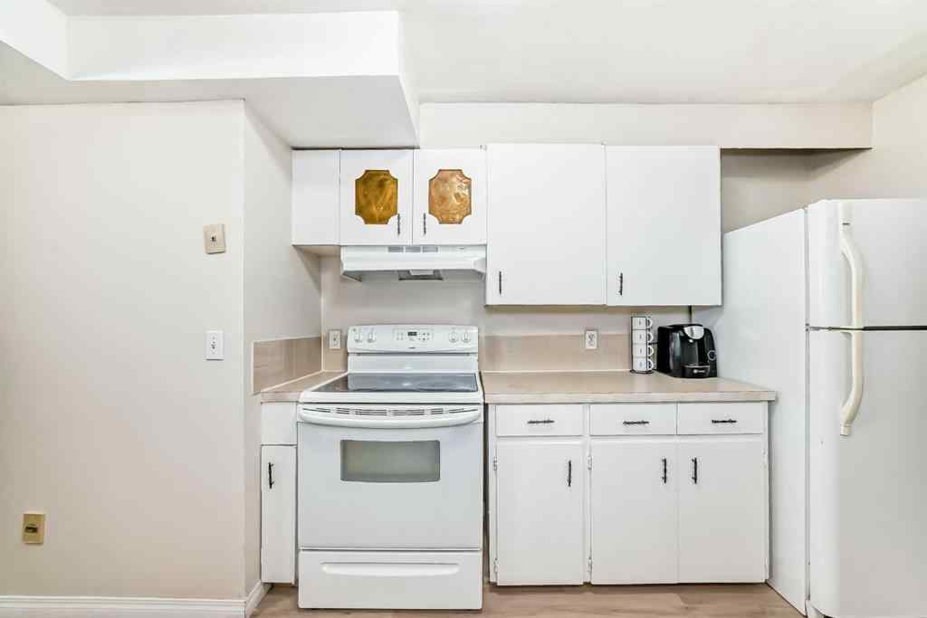 MLS® A2256983 - 48 Fallingworth Court NE in Falconridge Calgary, Residential