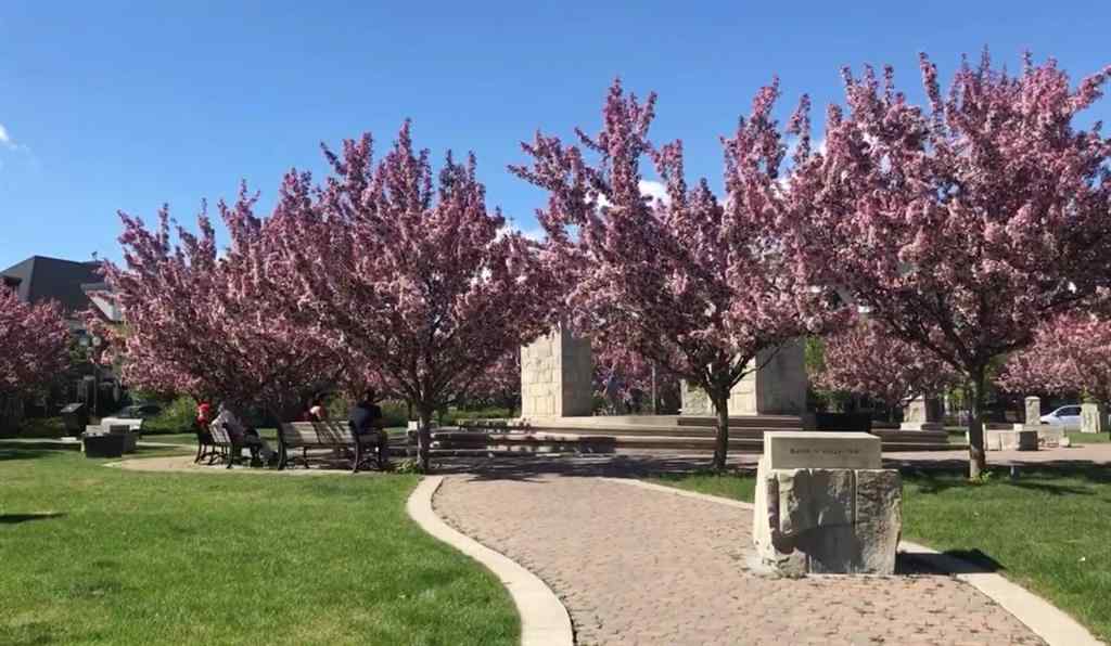 MLS® A2256995 - 4702 21 Street SW in Garrison Woods Calgary, Residential