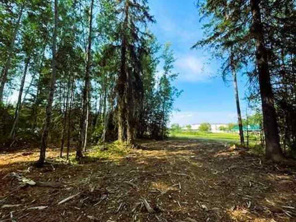 MLS® A2257008 - 931 Wolf Trail  in NONE Sandy Lake, Land