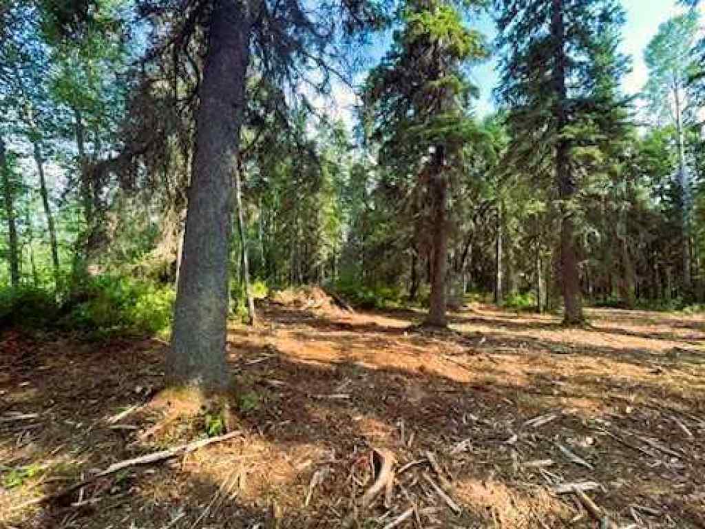 MLS® A2257008 - 931 Wolf Trail  in NONE Sandy Lake, Land
