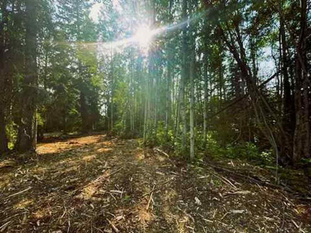 MLS® A2257008 - 931 Wolf Trail  in NONE Sandy Lake, Land