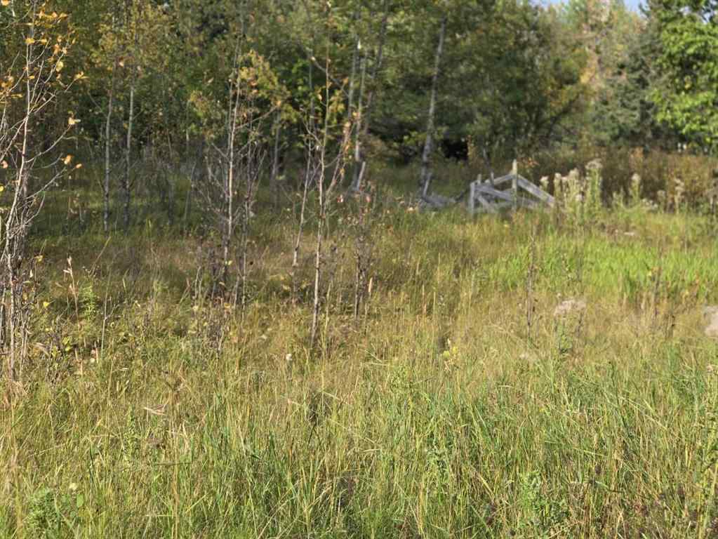 MLS® A2257013 -  TWP 360  RR. 43   in NONE Rural Clearwater County, Agri-Business