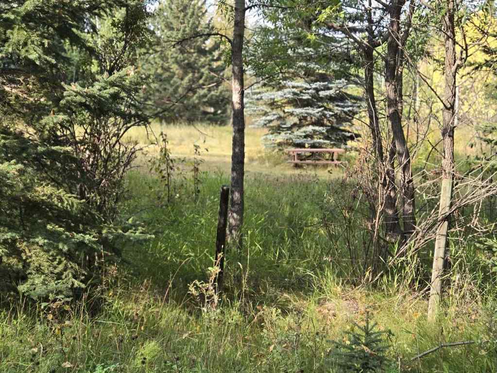 MLS® A2257013 -  TWP 360  RR. 43   in NONE Rural Clearwater County, Agri-Business
