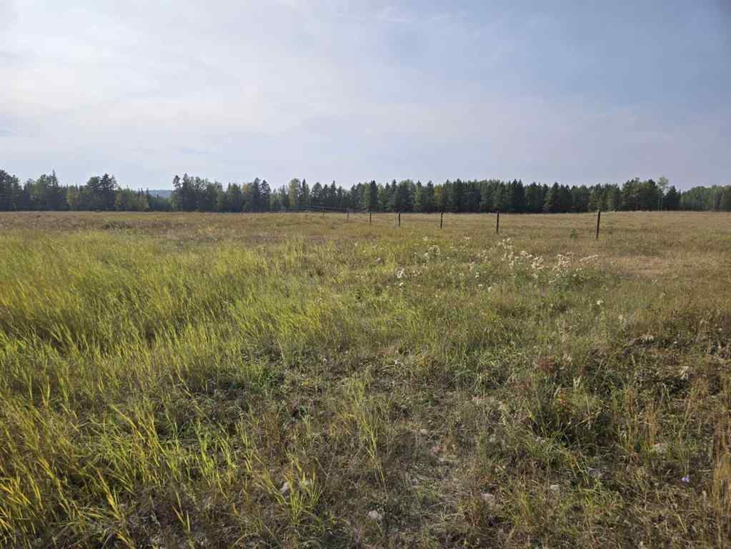 MLS® A2257013 -  TWP 360  RR. 43   in NONE Rural Clearwater County, Agri-Business