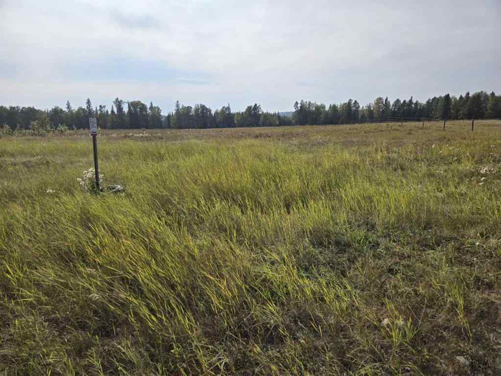 MLS® A2257013 -  TWP 360  RR. 43   in NONE Rural Clearwater County, Agri-Business