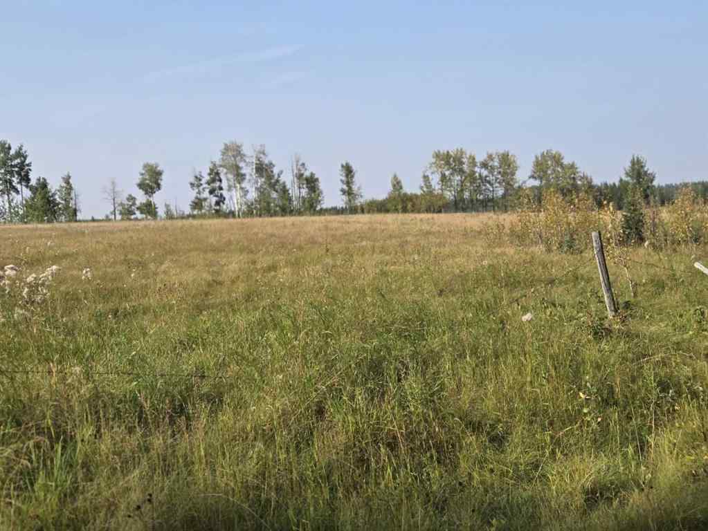 MLS® A2257013 -  TWP 360  RR. 43   in NONE Rural Clearwater County, Agri-Business