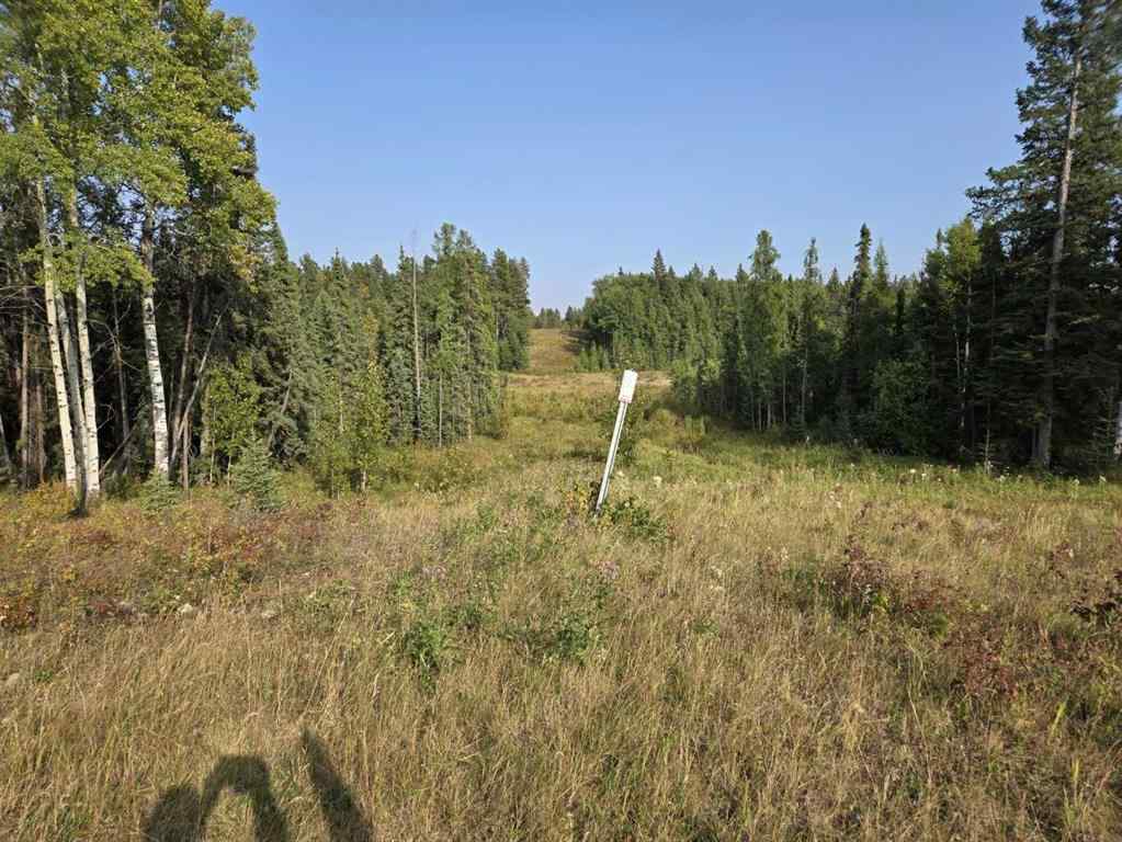 MLS® A2257013 -  TWP 360  RR. 43   in NONE Rural Clearwater County, Agri-Business