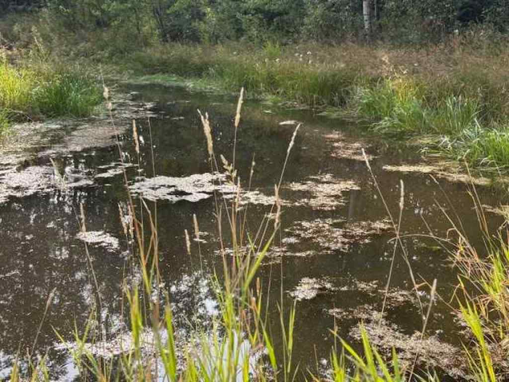 MLS® A2257043 - 29275 Range Road 52   in NONE Rural Mountain View County, Land
