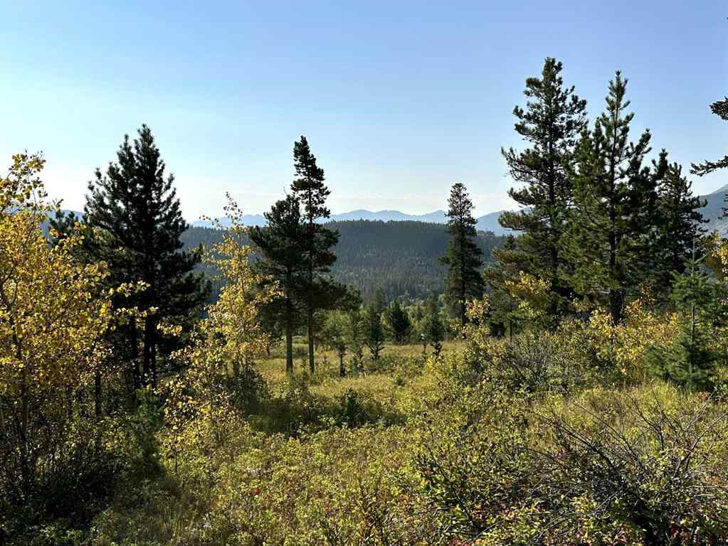 MLS® A2257061 - 2708 Valley Ridge   in NONE Frank, Land