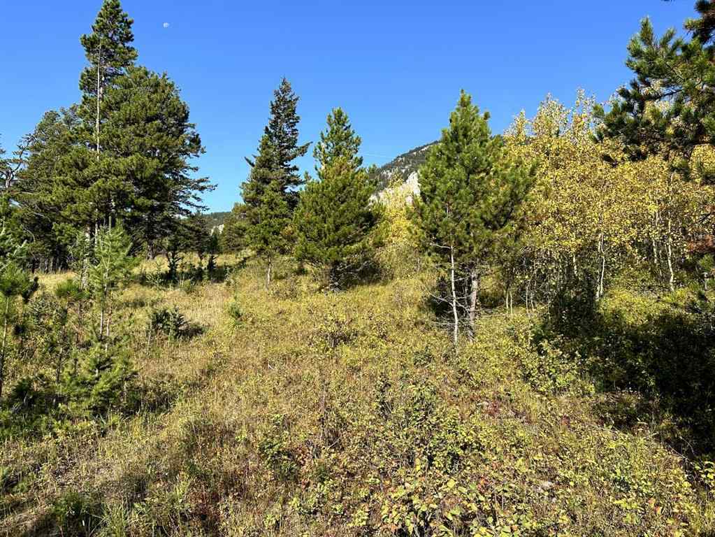 MLS® A2257061 - 2708 Valley Ridge   in NONE Frank, Land