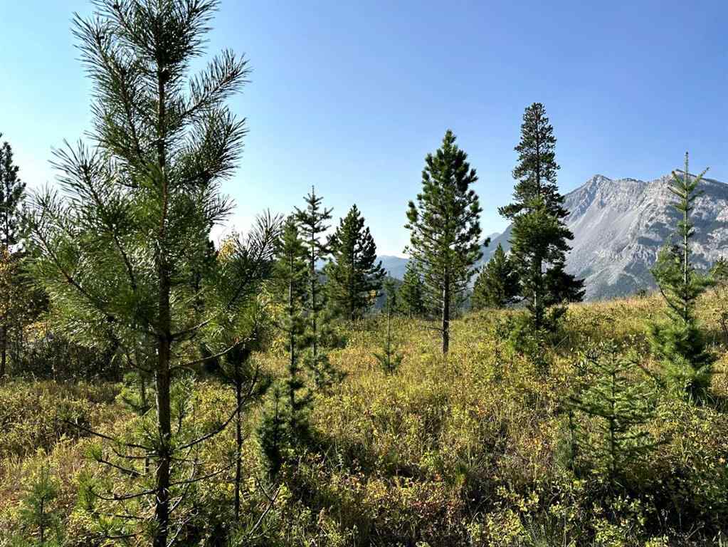 MLS® A2257061 - 2708 Valley Ridge   in NONE Frank, Land
