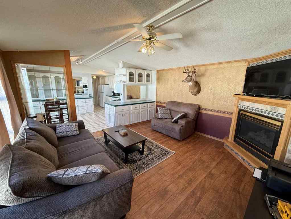 MLS® A2257175 - 250 Skogg Avenue  in Hardisty Hinton, Residential