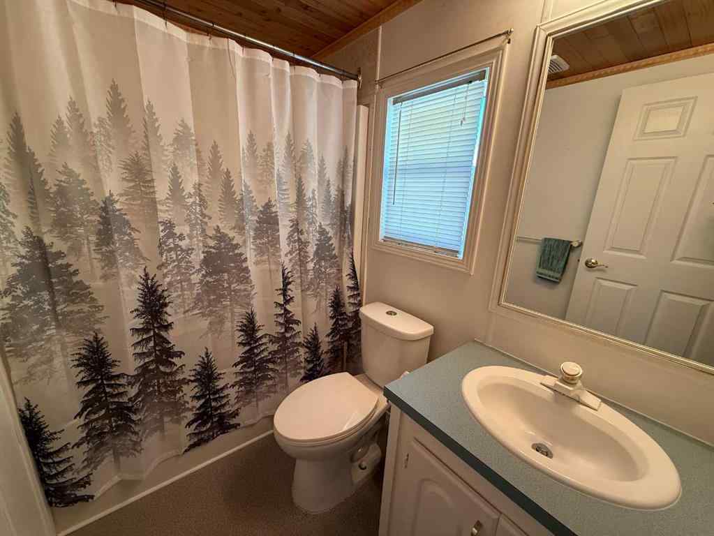 MLS® A2257175 - 250 Skogg Avenue  in Hardisty Hinton, Residential
