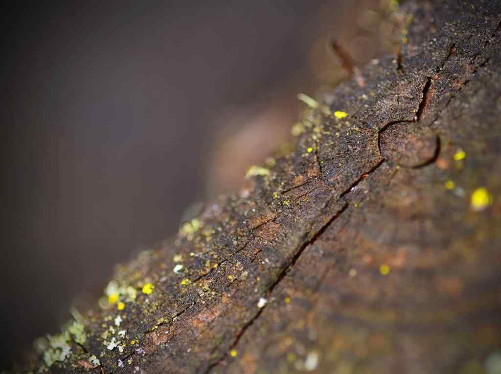 MLS® A2257267 - 336070 Highway 22 Highway W in NONE Rural Foothills County, Residential